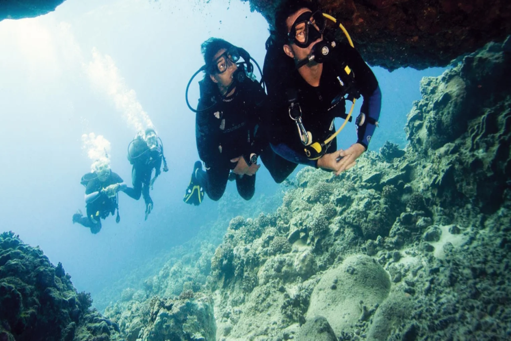 divers following their instructor