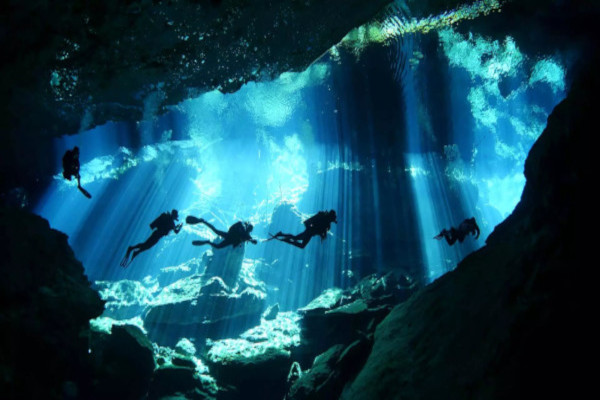 Group of divers in cavern