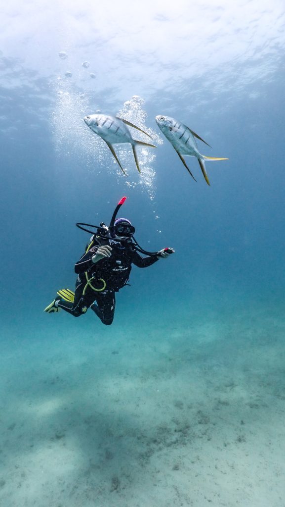 caño-island-diving-sites-sphere cano island