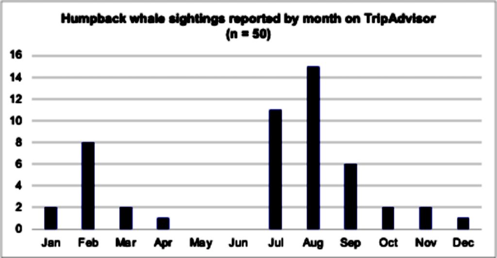 humpback whale sighting in Costa Rica chart