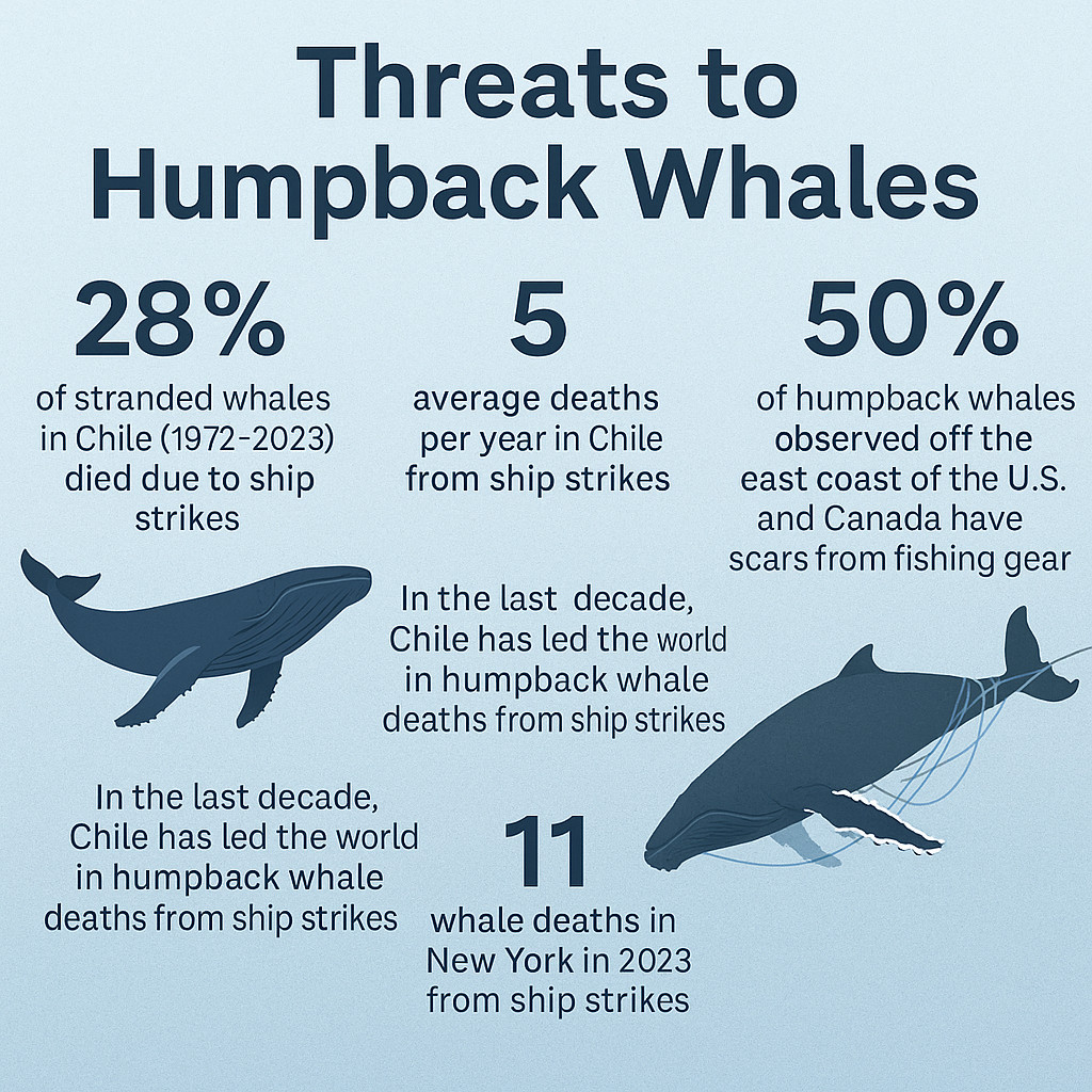 Threats Stats to Humpback Whales Threats Stats to Humpback Whales